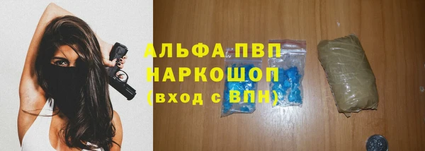СК Беломорск