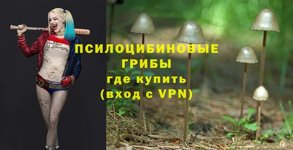 метадон Белокуриха