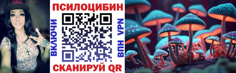 Псилоцибиновые грибы мицелий  где продают   кракен ТОР  Южноуральск 